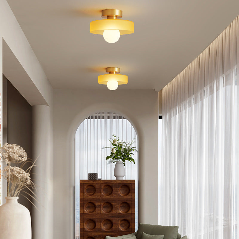 Elara haus Glass LED Ceiling Light - Dimmable
