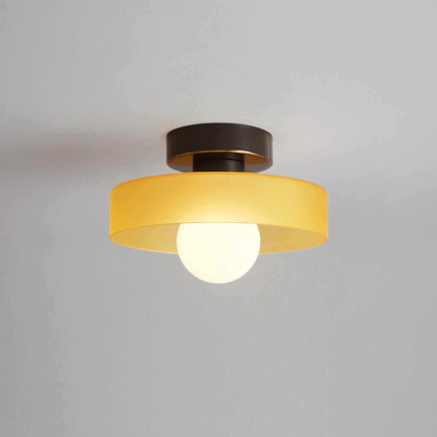 Elara haus Glass LED Ceiling Light - Dimmable