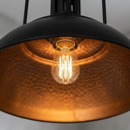 Caged Dome Pendant Light Fixture