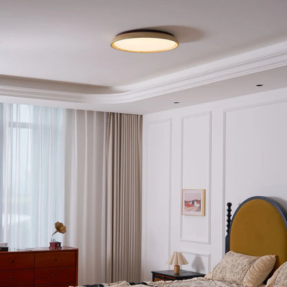 Depiara Organic Modern Ceiling Lamp Warm LED