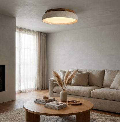 Depiara Organic Modern Ceiling Lamp Warm LED