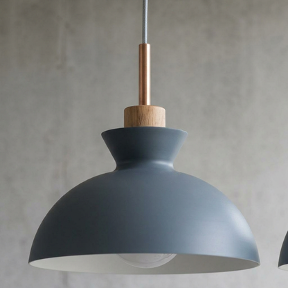 Dome Shade Pendant Light Fixture