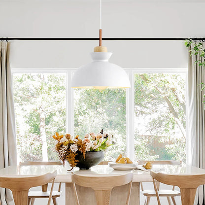 Modern Single Pendant Dome Light for Kitchen 3