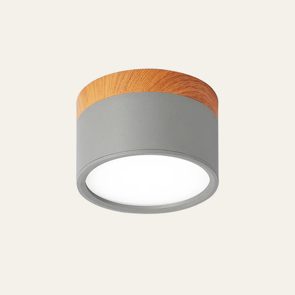Cylinder Small Ceiling Lamp 11