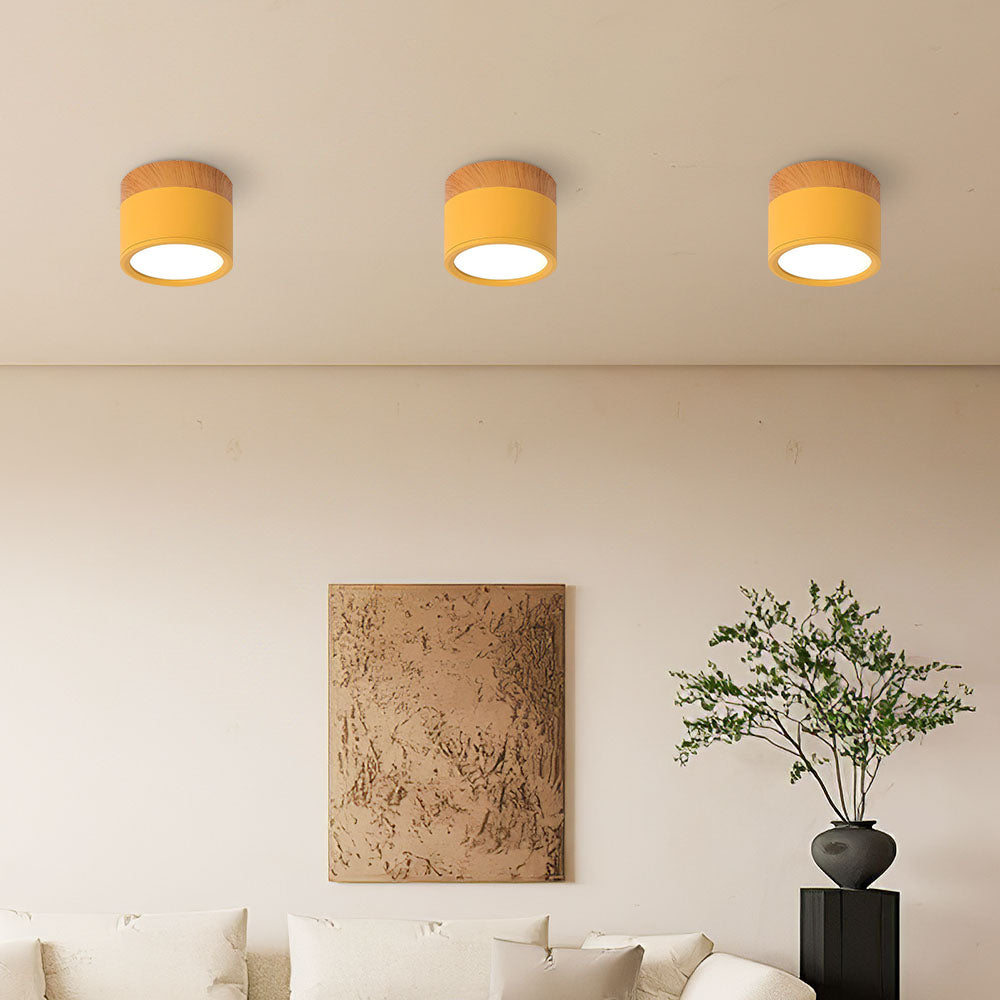 Cylinder Small Ceiling Lamp 12