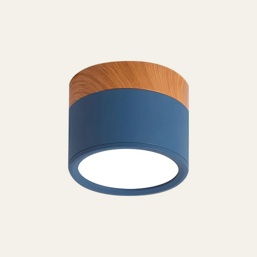 Cylinder Small Ceiling Lamp 13