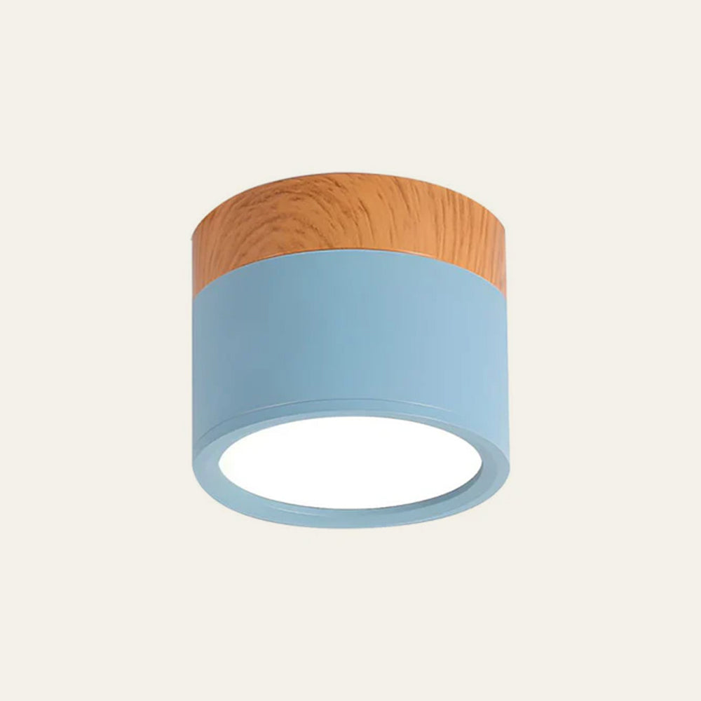 Cylinder Small Ceiling Lamp 14