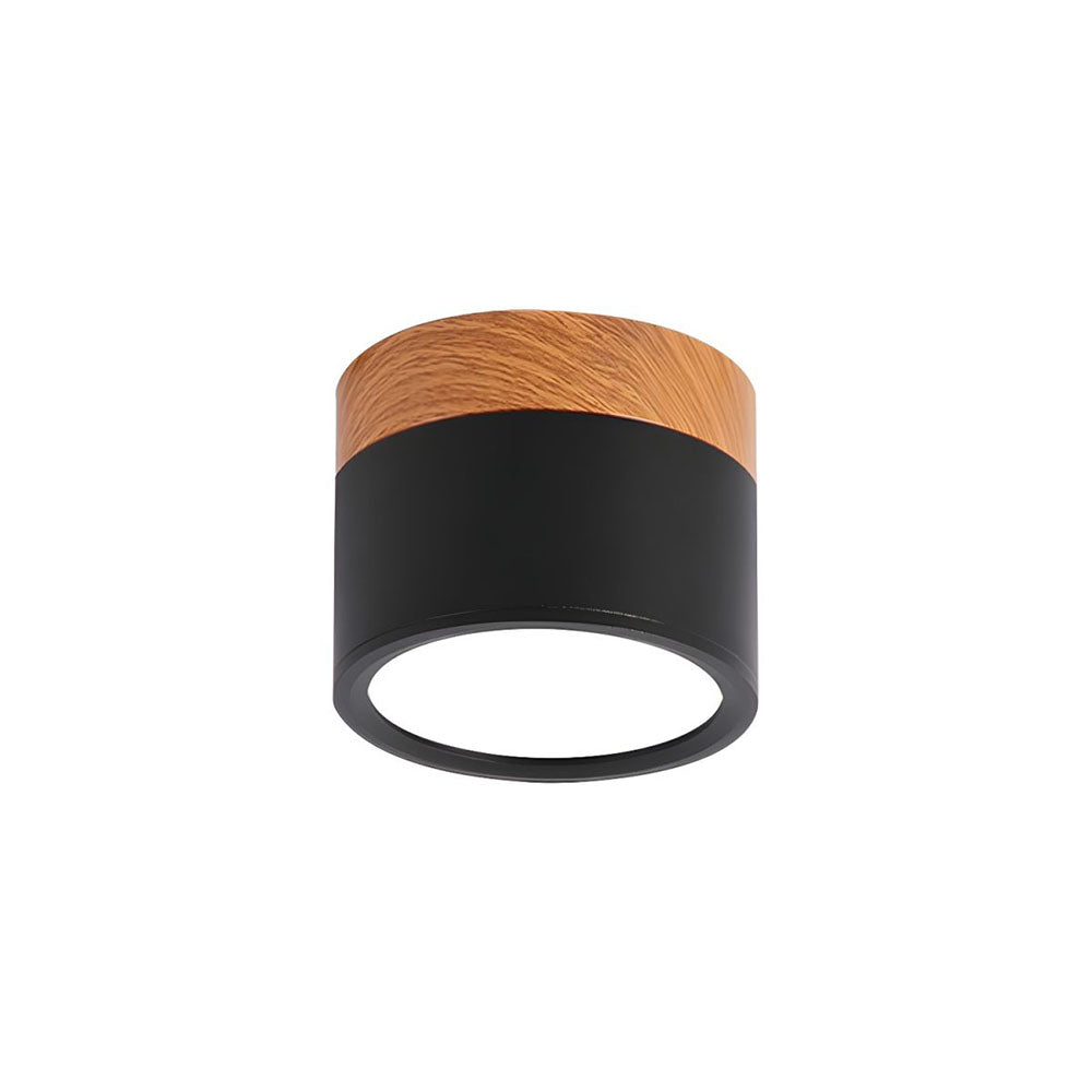Cylinder Small Ceiling Lamp 1