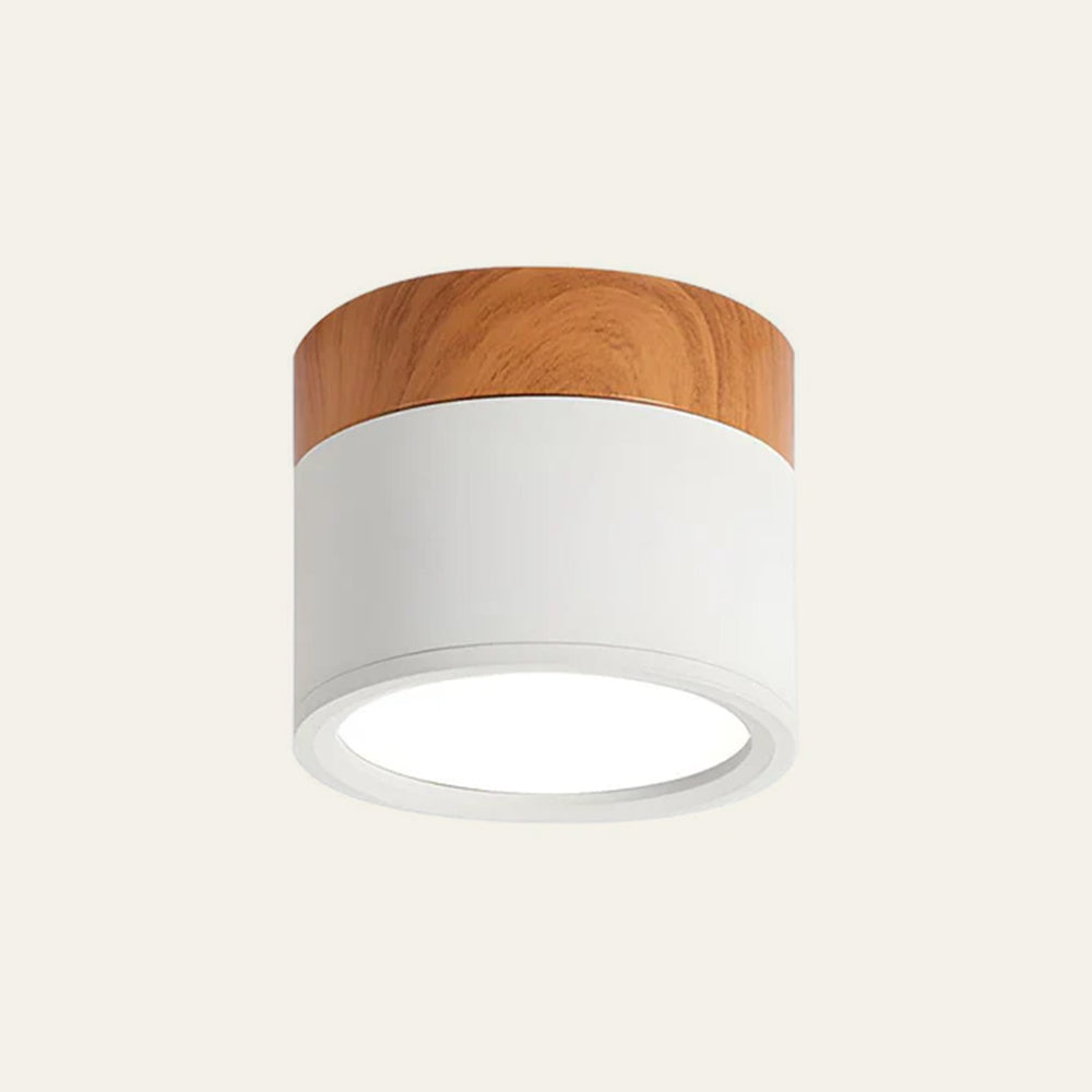 Cylinder Small Ceiling Lamp 5