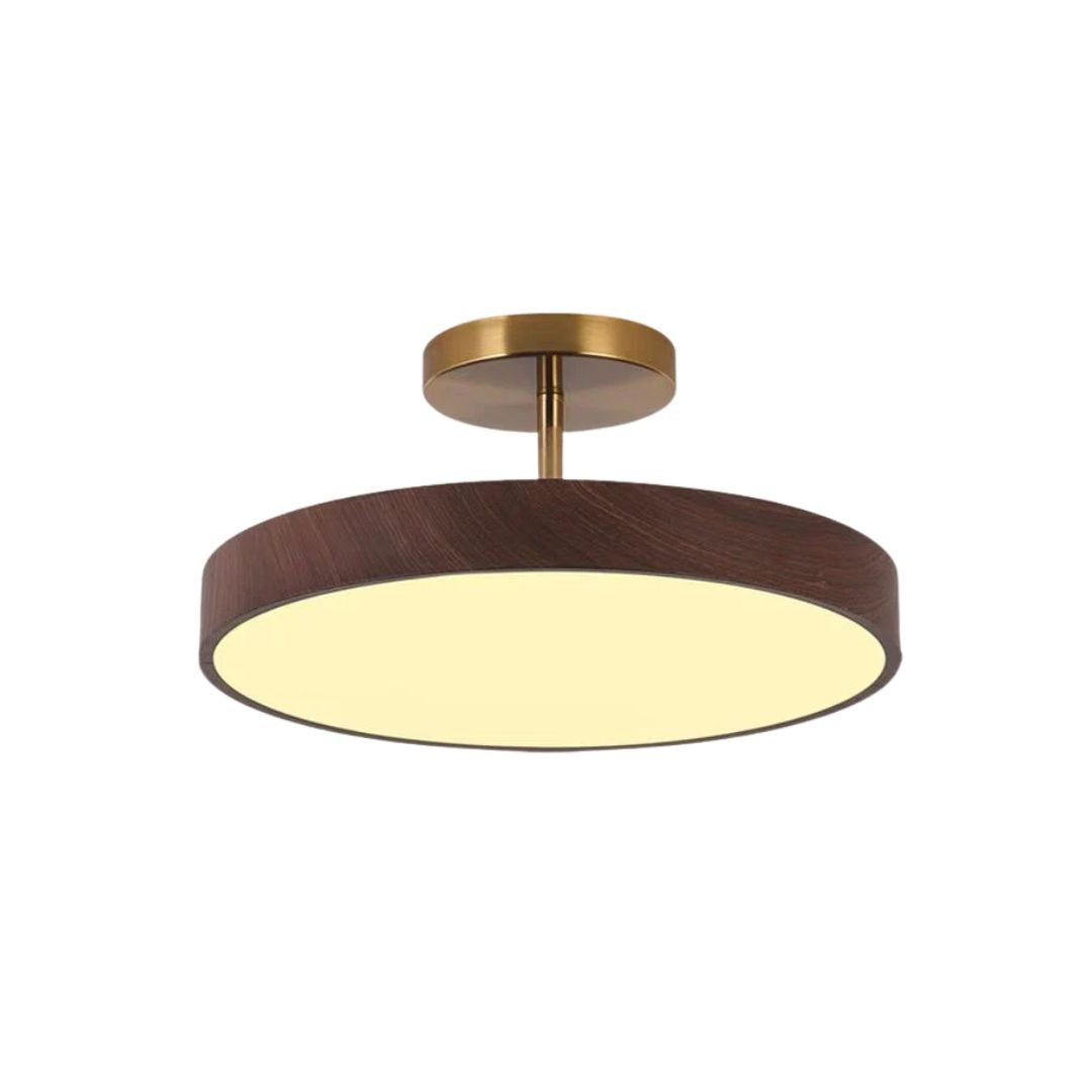 Sinton Ceiling Lamp 1