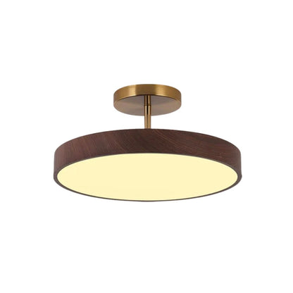 Sinton Ceiling Lamp 1