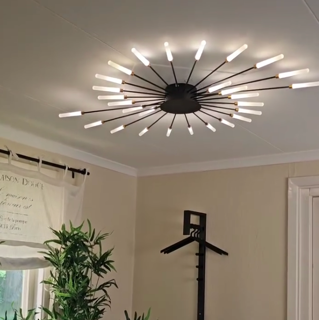 Elara Haus Flush Mount Ceiling Light - Metal Acrylic Black Gold LED Ceiling Lights 6