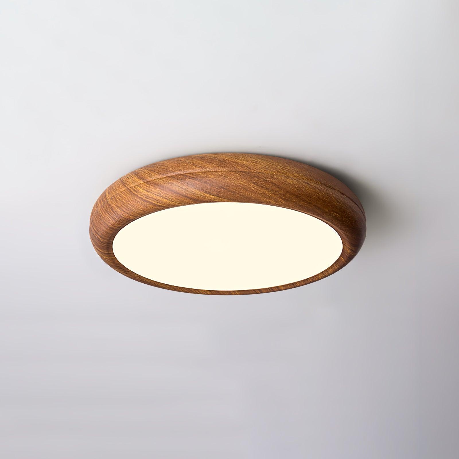 Elara Haus Flush Mount Ceiling Light - Metal Acrylic Dimmable LED Ceiling Light Fixture 13