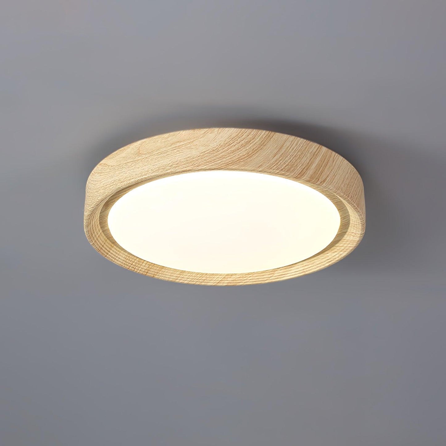 Elara Haus Flush Mount Ceiling Light - Metal Acrylic Dimmable LED Ceiling Light Fixture 14