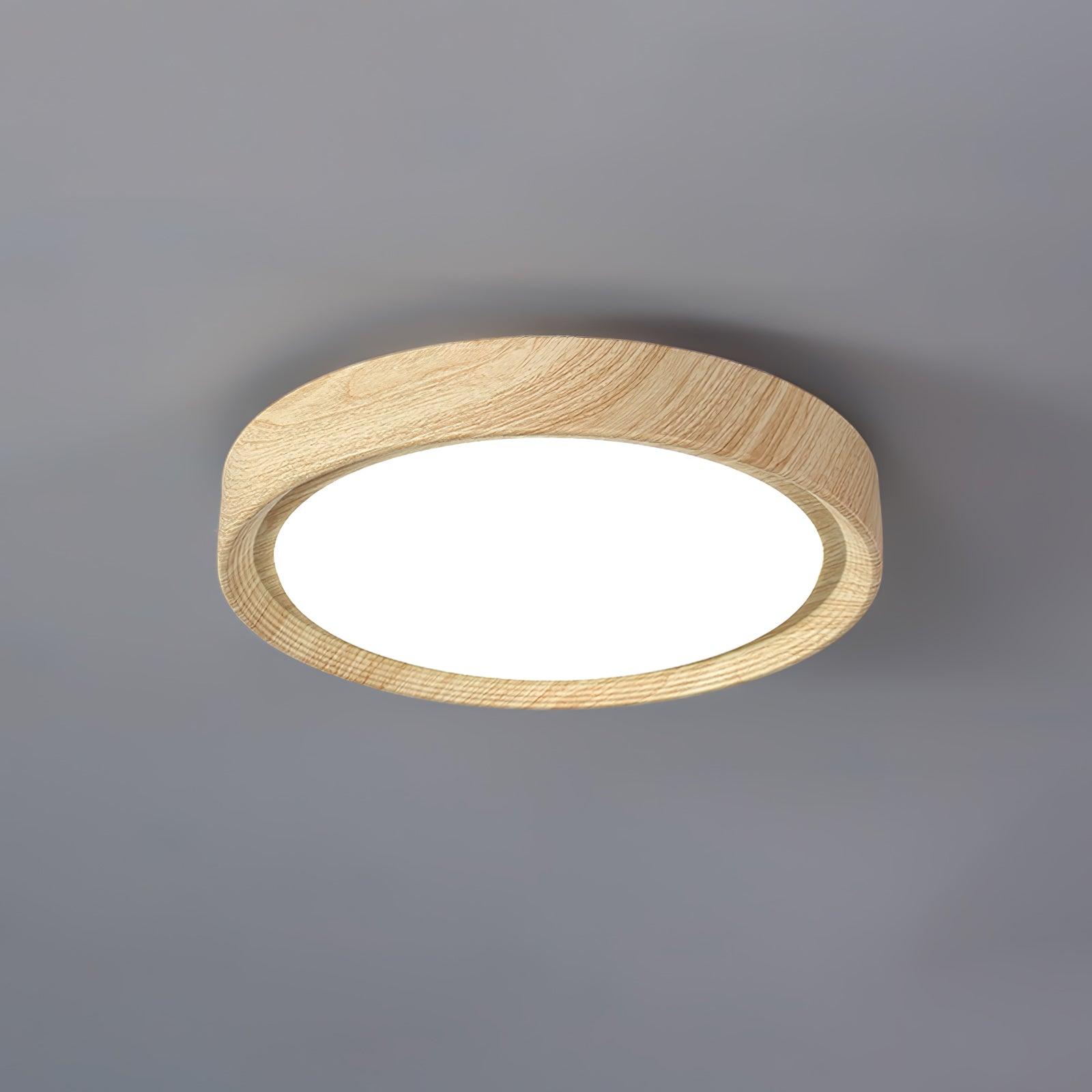 Elara Haus Flush Mount Ceiling Light - Metal Acrylic Dimmable LED Ceiling Light Fixture 16
