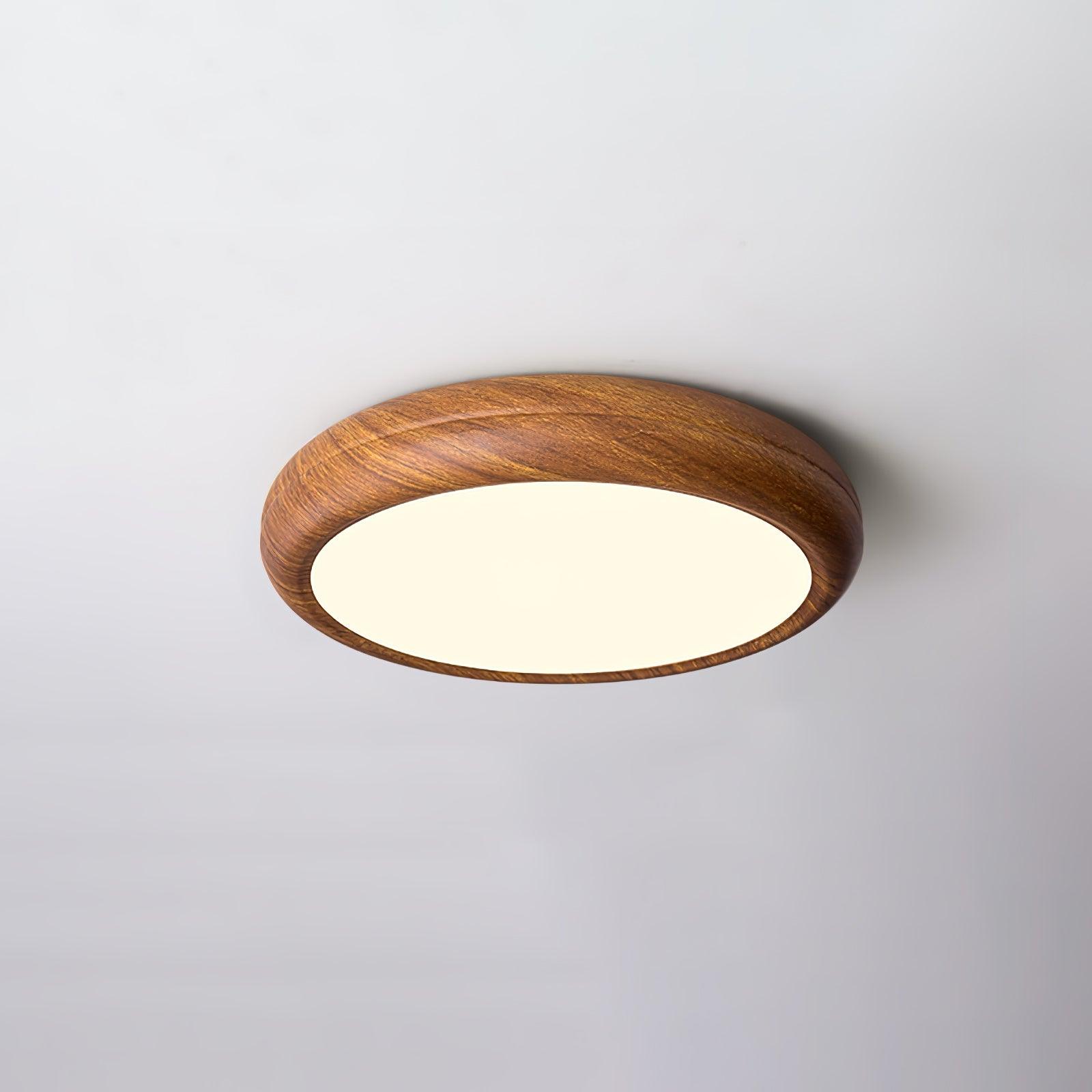 Elara Haus Flush Mount Ceiling Light - Metal Acrylic Dimmable LED Ceiling Light Fixture 0