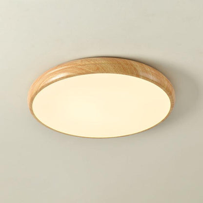 Elara Haus Flush Mount Ceiling Light - Metal Acrylic Dimmable LED Ceiling Light Fixture 18