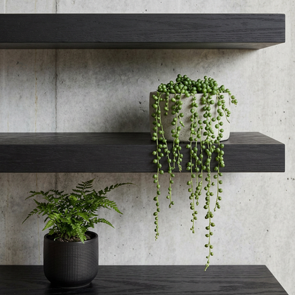 Elara Haus Multi-Tier Floating Wall Ledges with Hidden Brackets