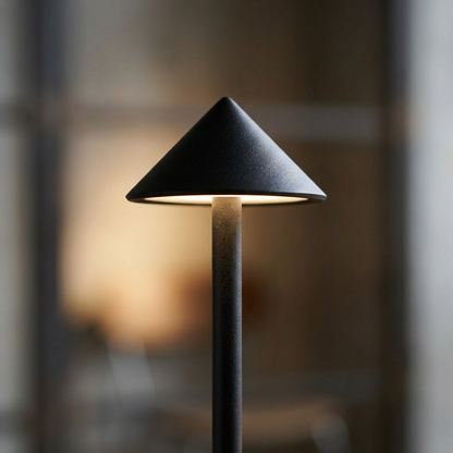 Elara Haus Portable Downlight Accent Lamp