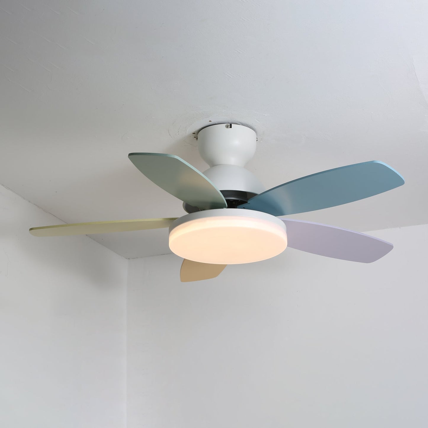 Petalo Ceiling Fan Light 11