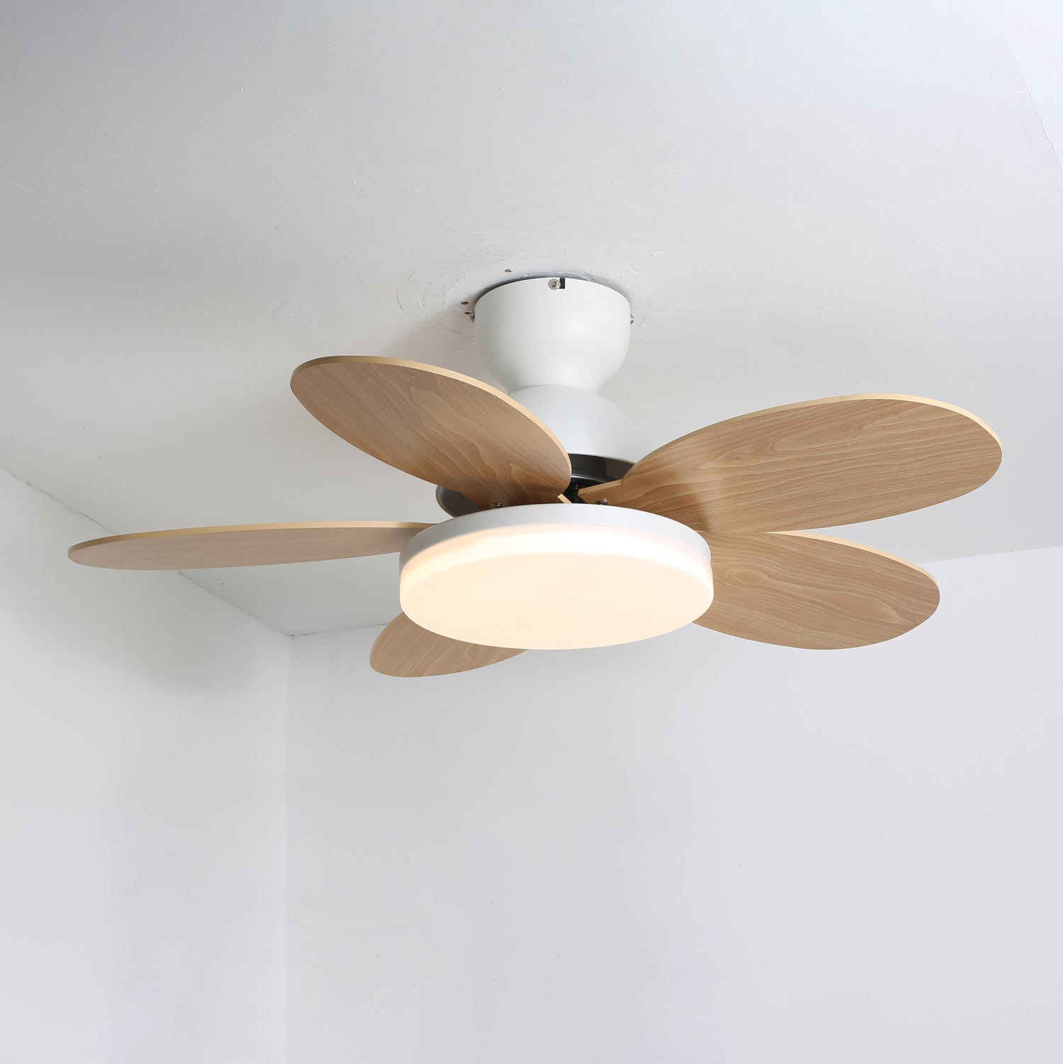 Petalo Ceiling Fan Light 13