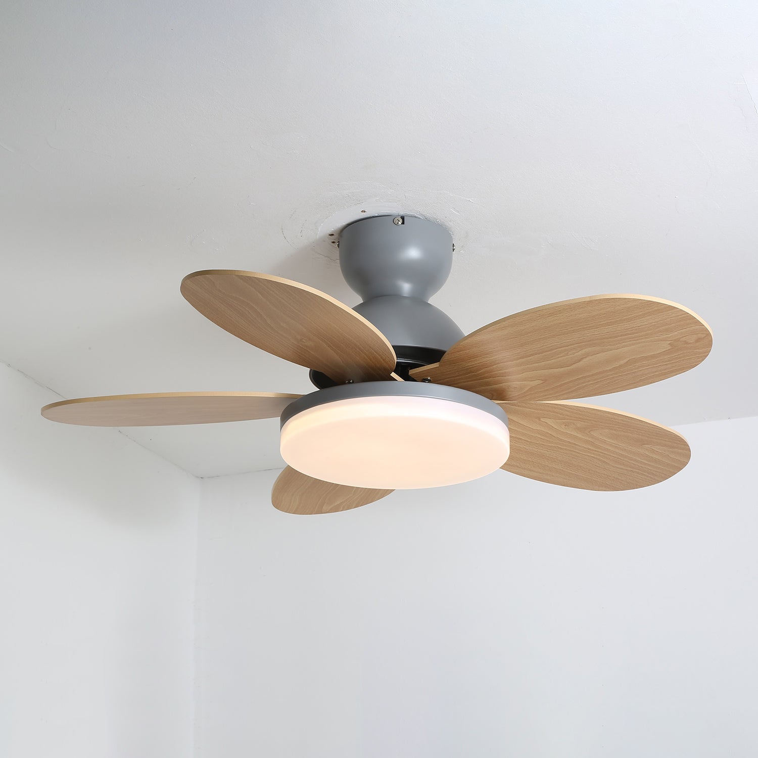 Petalo Ceiling Fan Light 16