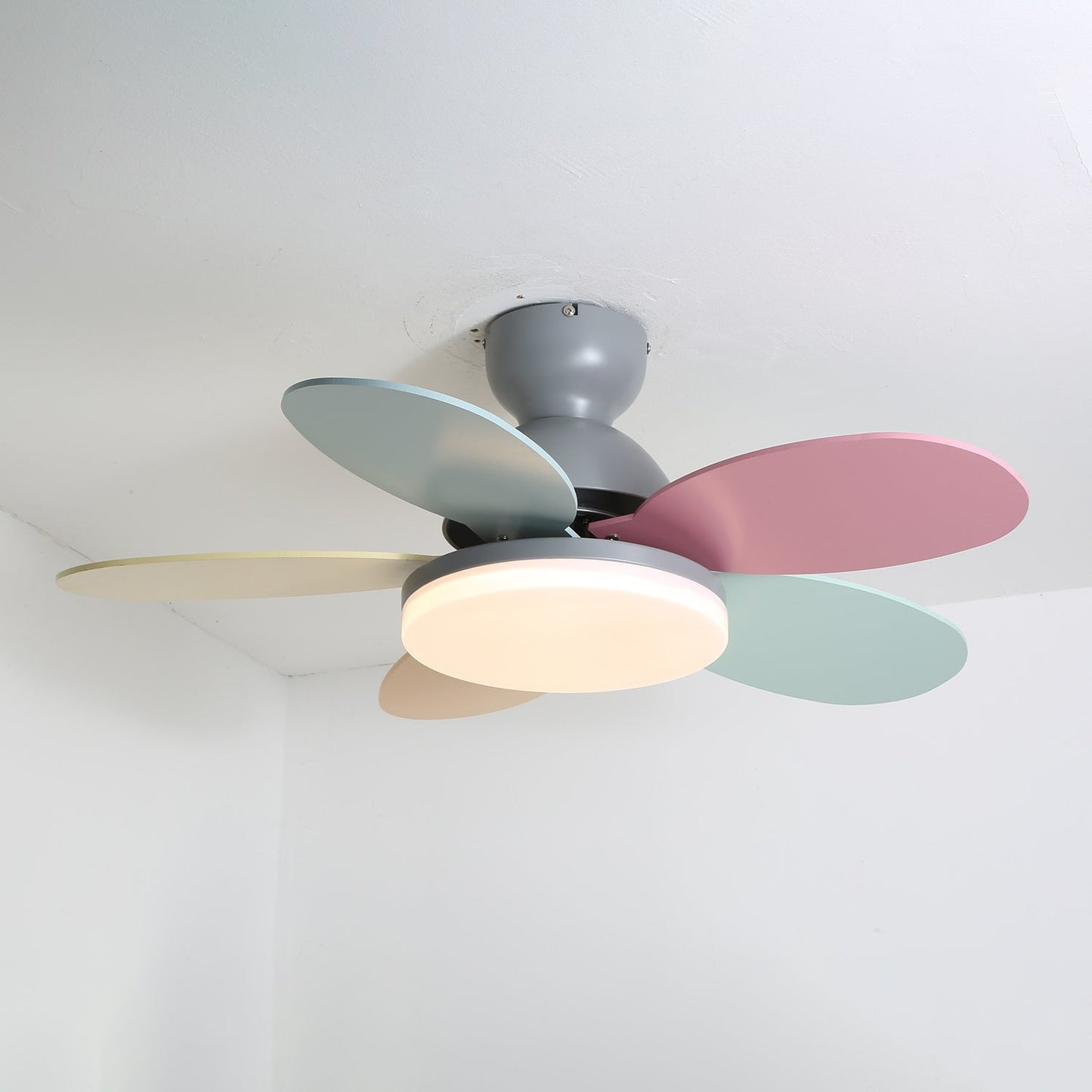 Petalo Ceiling Fan Light 0