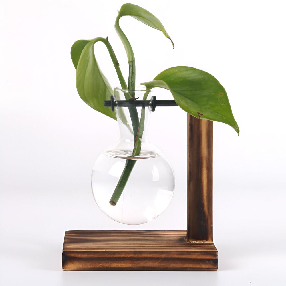 Valethra - Rustic Wooden Hydroponic Plant Holder 4