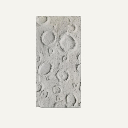 Tian Wall Panel 11