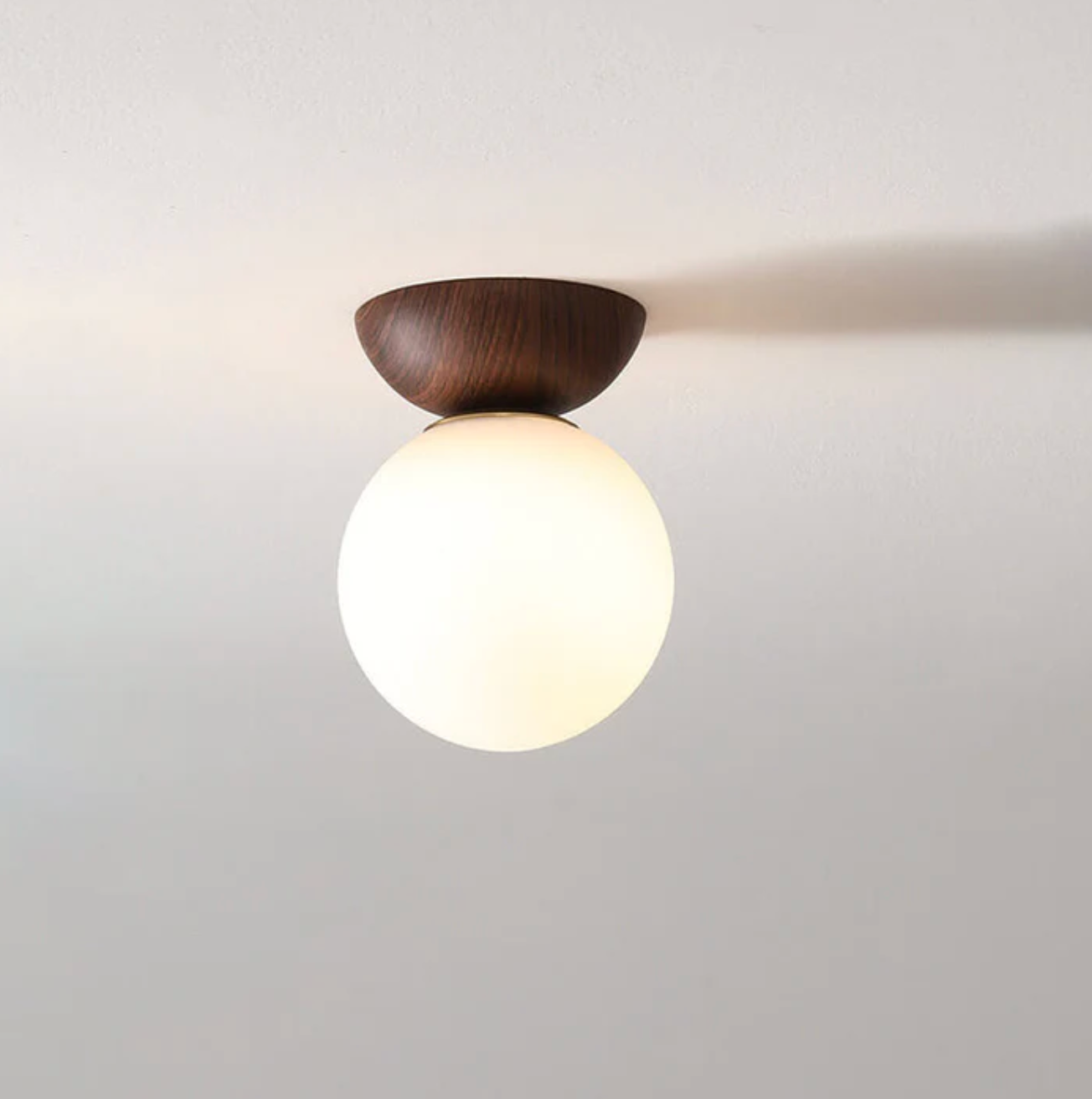A ceiling or pendant lamp with a frosted shade and a wooden accent – minimalist elegance for any interior 9