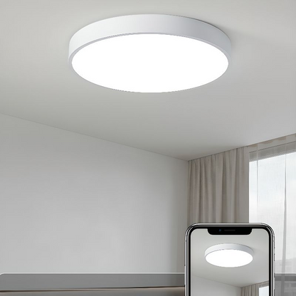 Elara Haus Sleek Round Ceiling Fixture - Modern LED Disk
