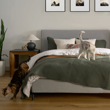 Elara Haus Snag Free Quilt - Pet Friendly