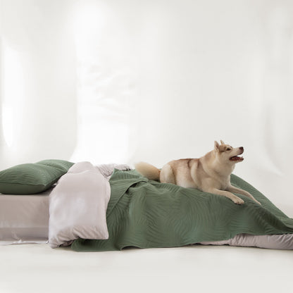 Elara Haus Snag Free Quilt - Pet Friendly