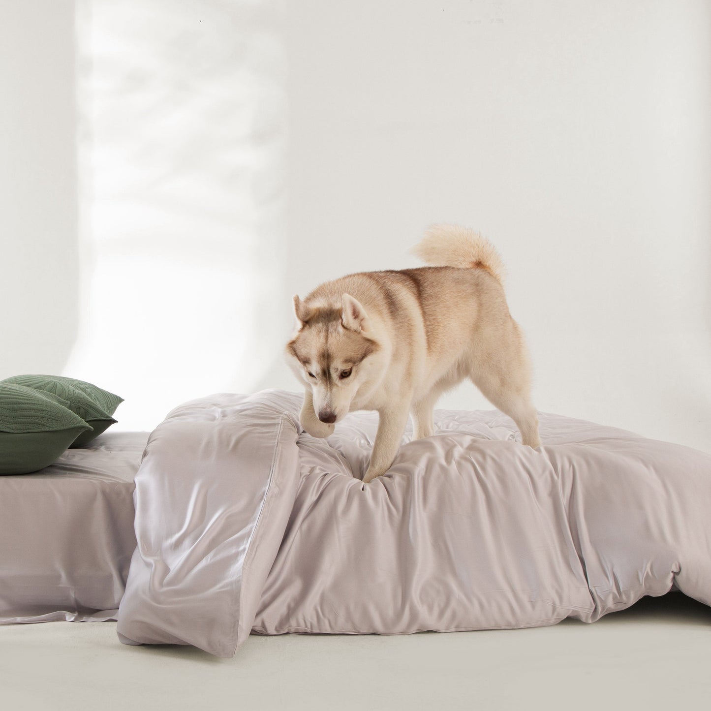 Elara Haus Snag Free Quilt - Pet Friendly