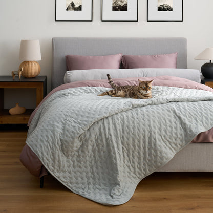 Elara Haus Snag Free Quilt - Pet Friendly