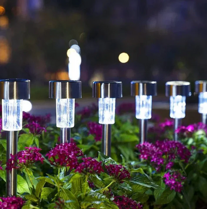 Solar LED garden lights - stainless steel path lighting 1