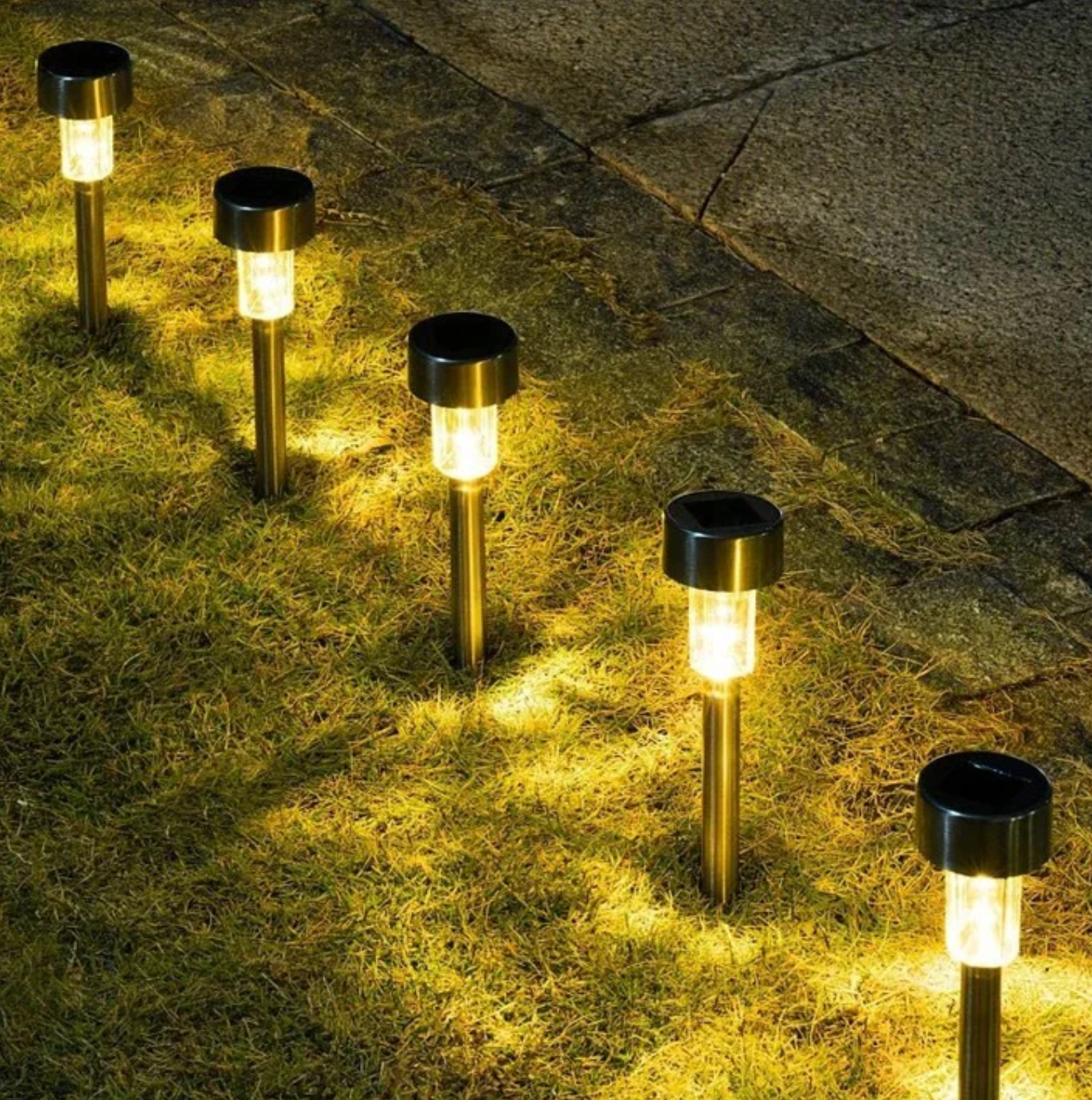 Solar LED garden lights - stainless steel path lighting 0