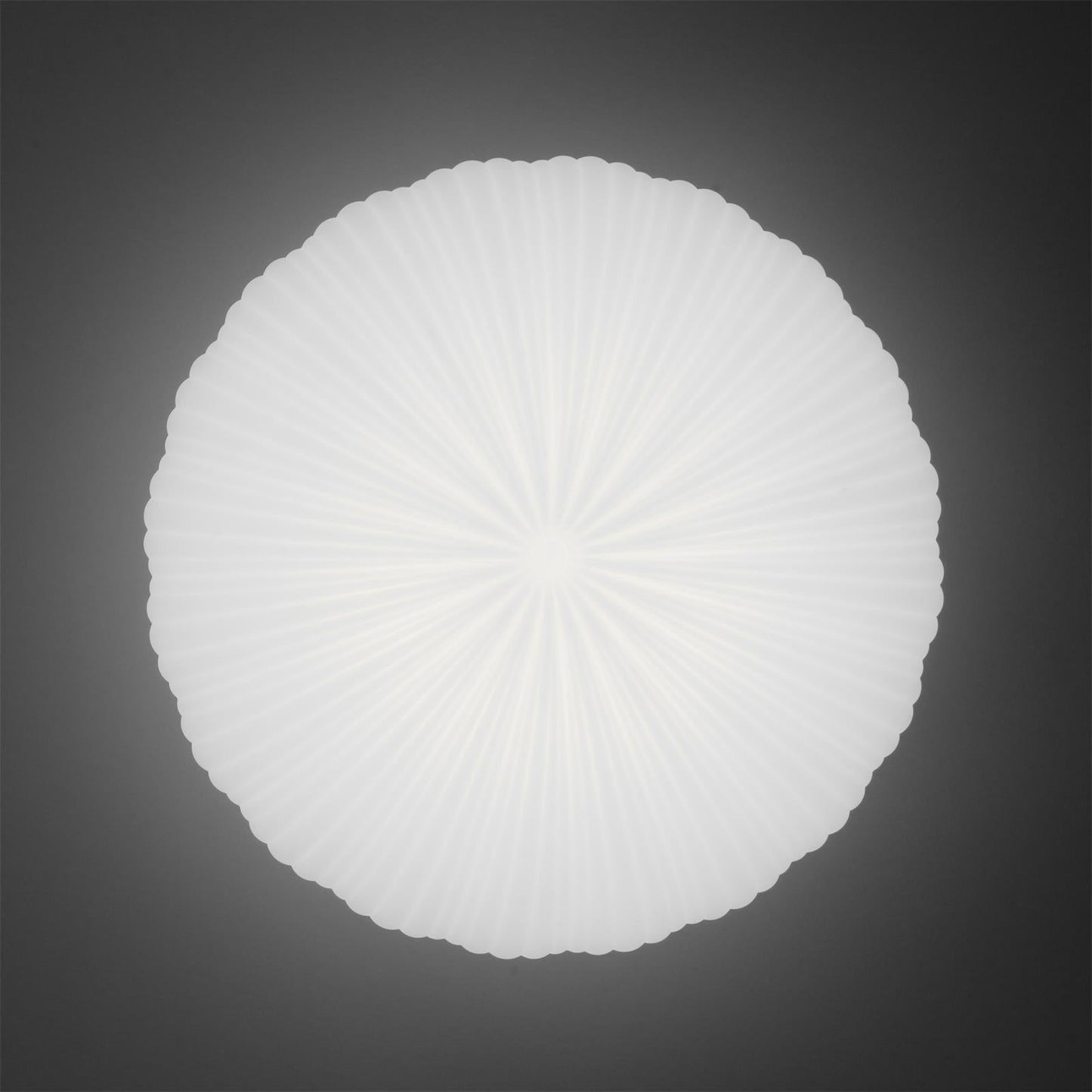Modern Robby Directional Ceiling Light - Matte Black & Chrome Finish
