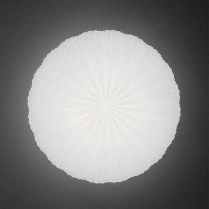 Modern Robby Directional Ceiling Light - Matte Black & Chrome Finish
