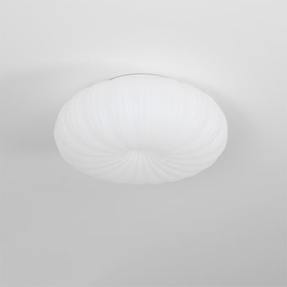 Modern Robby Directional Ceiling Light - Matte Black & Chrome Finish