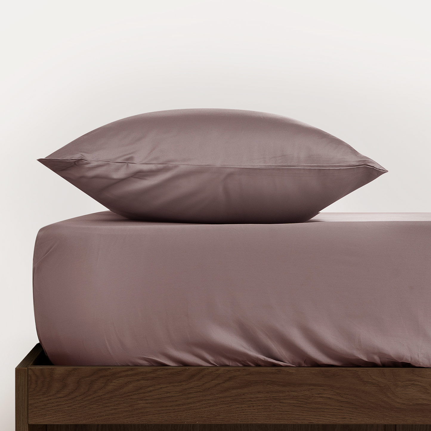 Pet Friendly Bamboo Viscose Pillowcases - Cooling