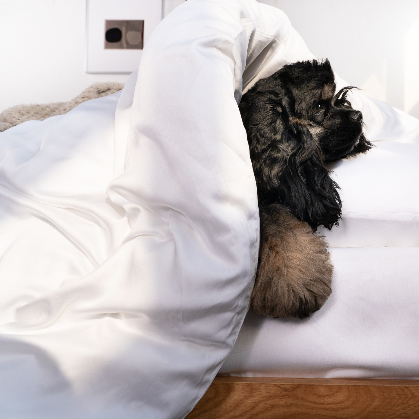 Pet Friendly Bamboo Viscose Quilt Cover - Cooling