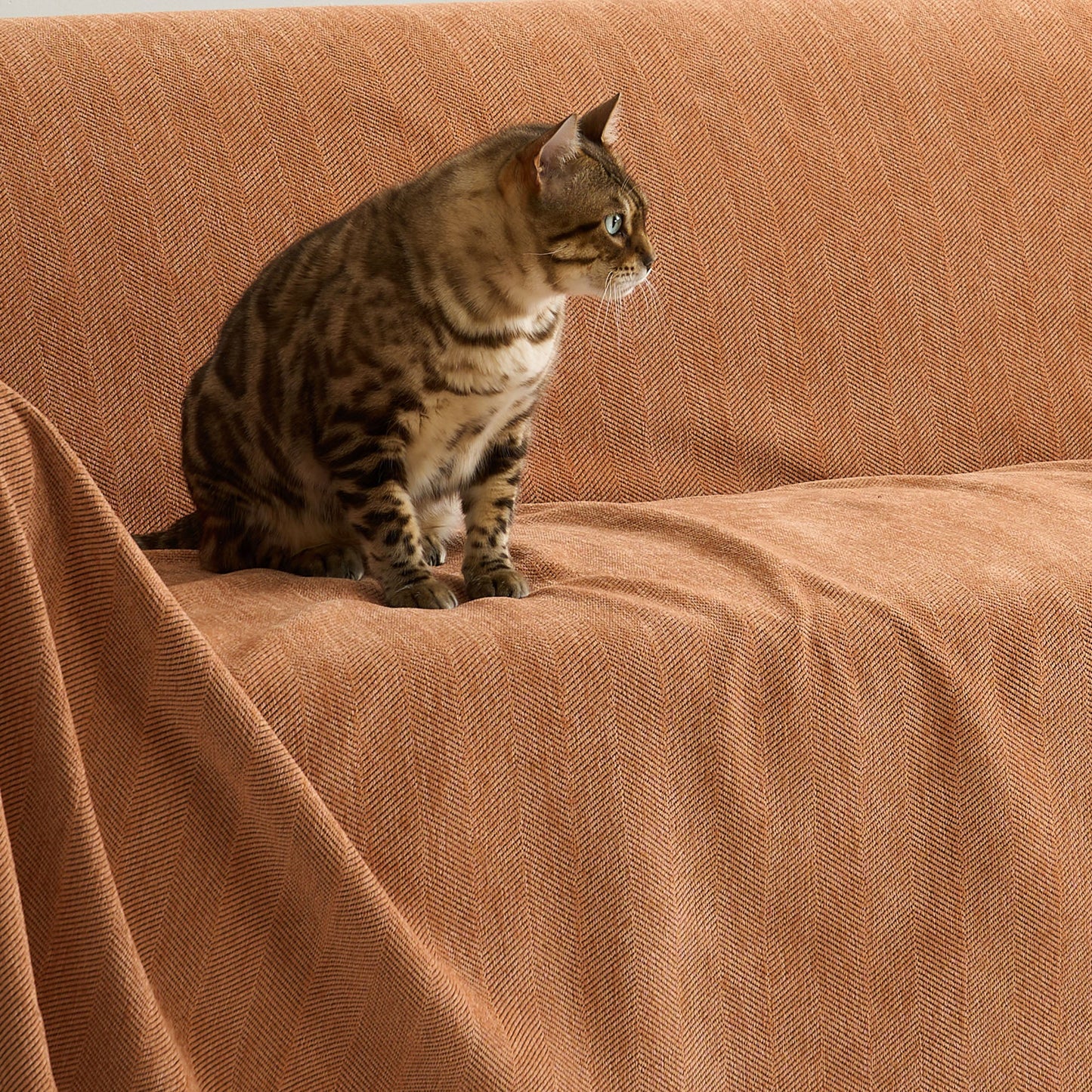 Pet Friendly Herringbone Sofa Cover - Durable Protector