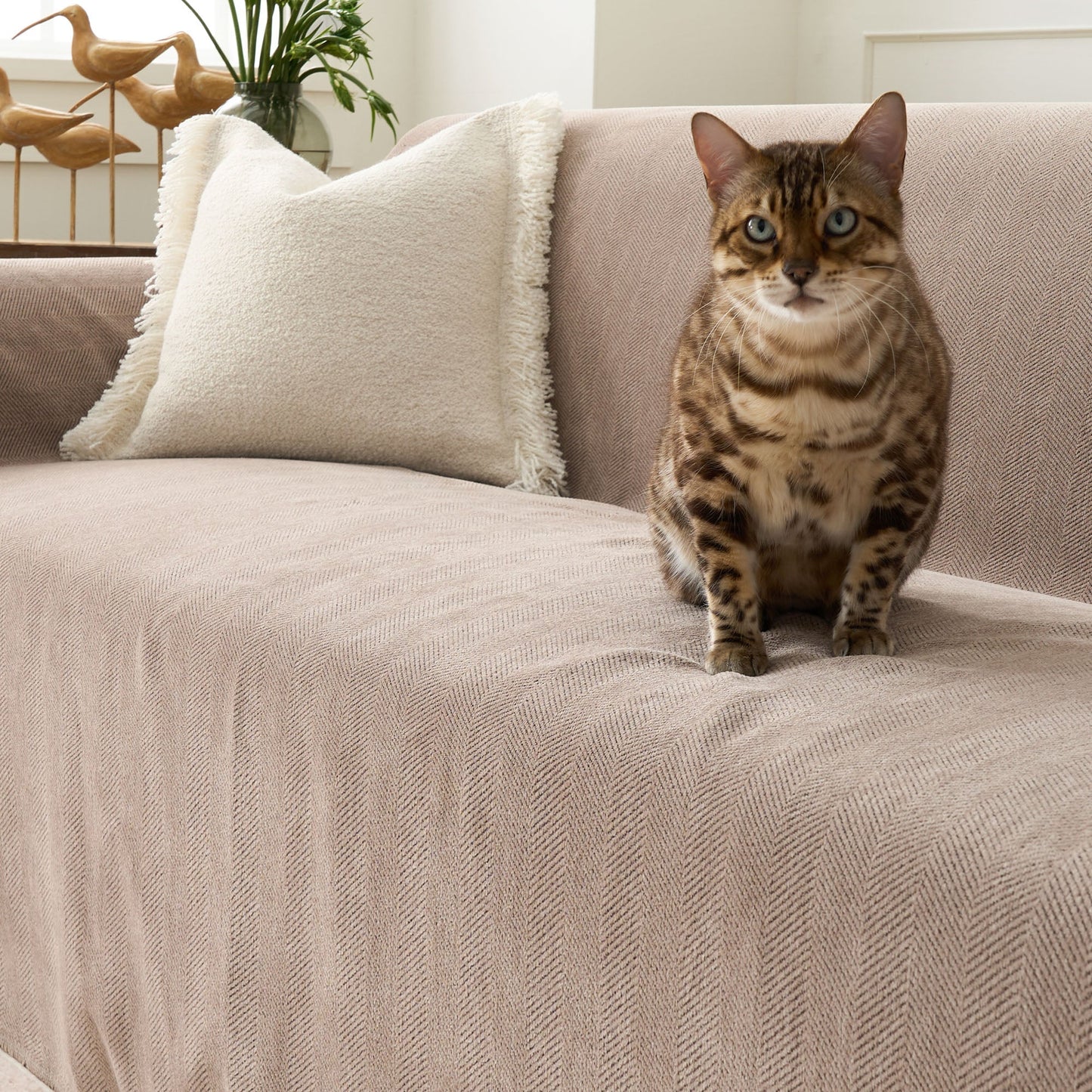 Pet Friendly Herringbone Sofa Cover - Durable Protector
