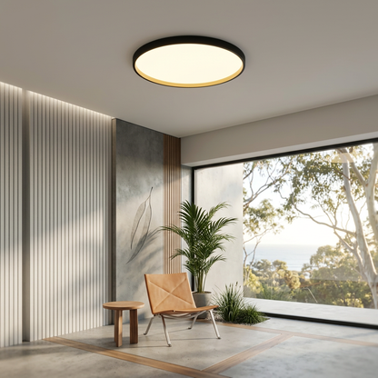 Round Flush Mount LED Ceiling Light