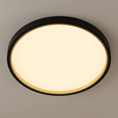 Round Flush Mount LED Ceiling Light