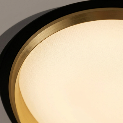 Round Flush Mount LED Ceiling Light