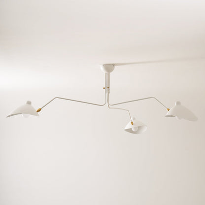 Sculptural Multi-Arm Ceiling Light Fixture