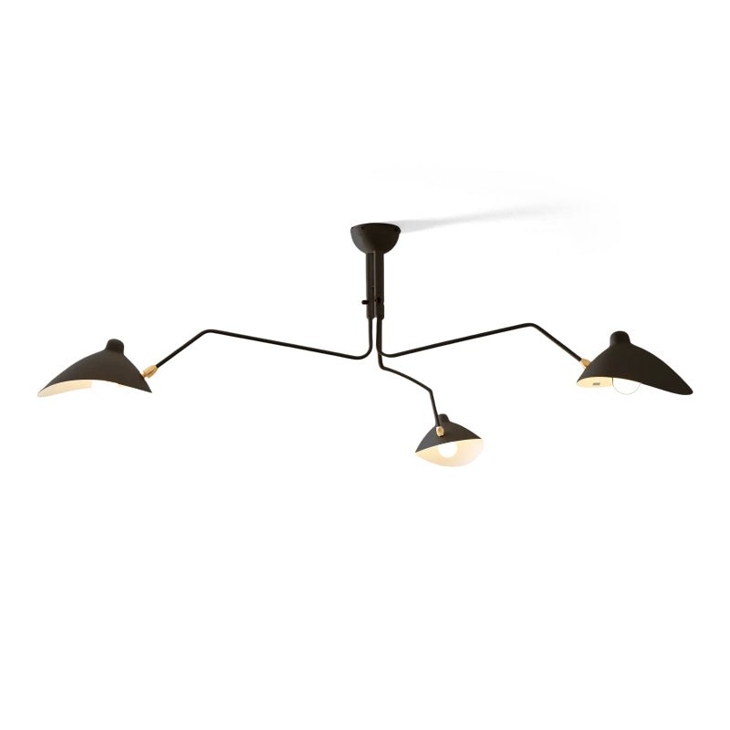 Sculptural Multi-Arm Ceiling Light Fixture
